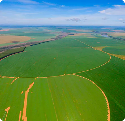 Ambiental Fornecedores 01