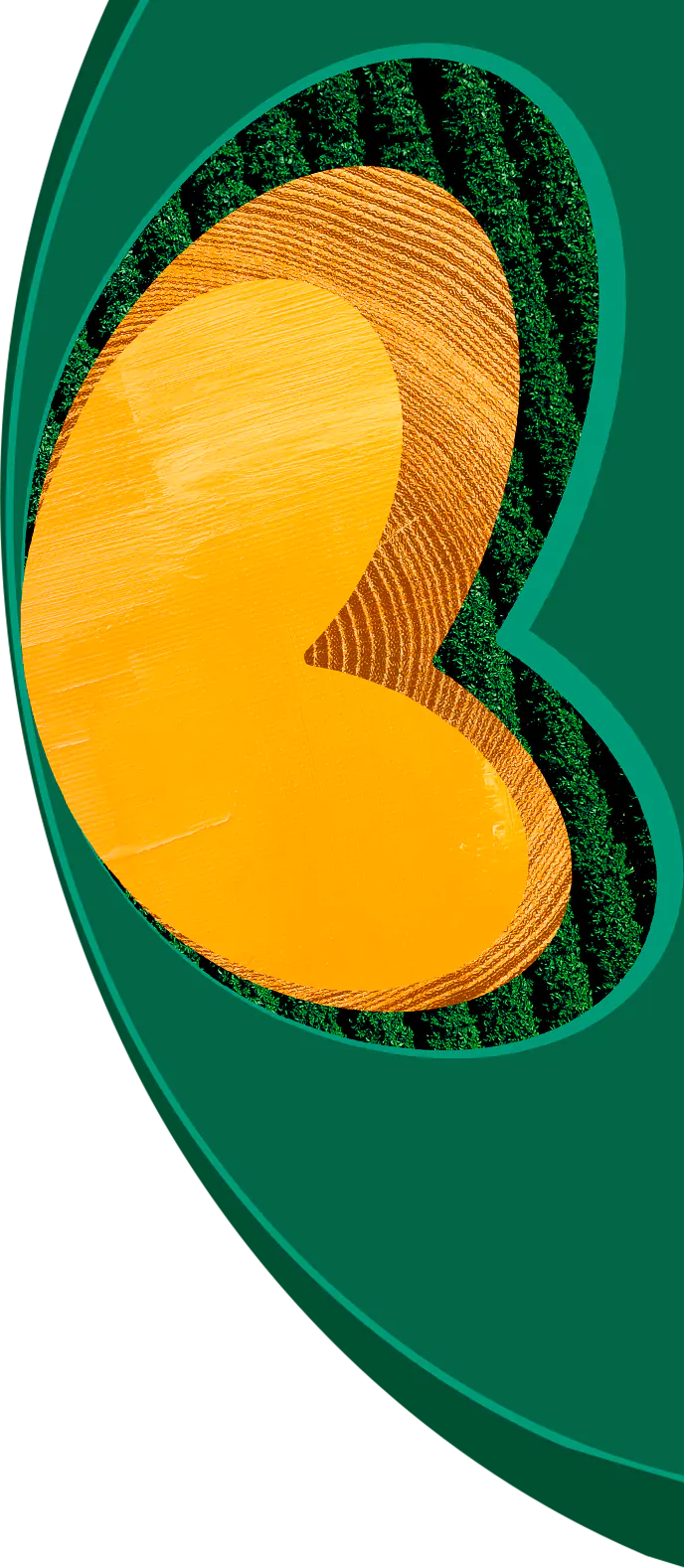 Relatórios Imagem 01