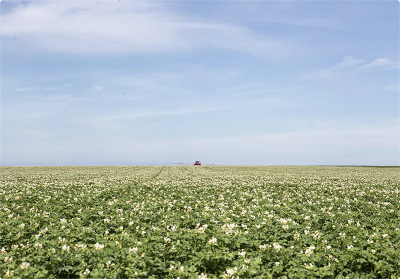 Porquê Bem Brasil 02