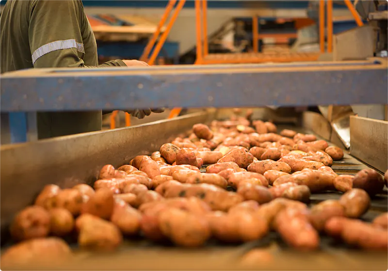 Porque Segurança 01